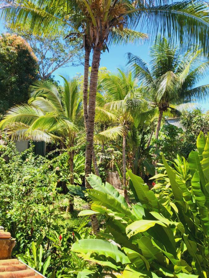 Pousada Velha Boipeba Empresa Acanhtica Boipeba Island Exterior foto